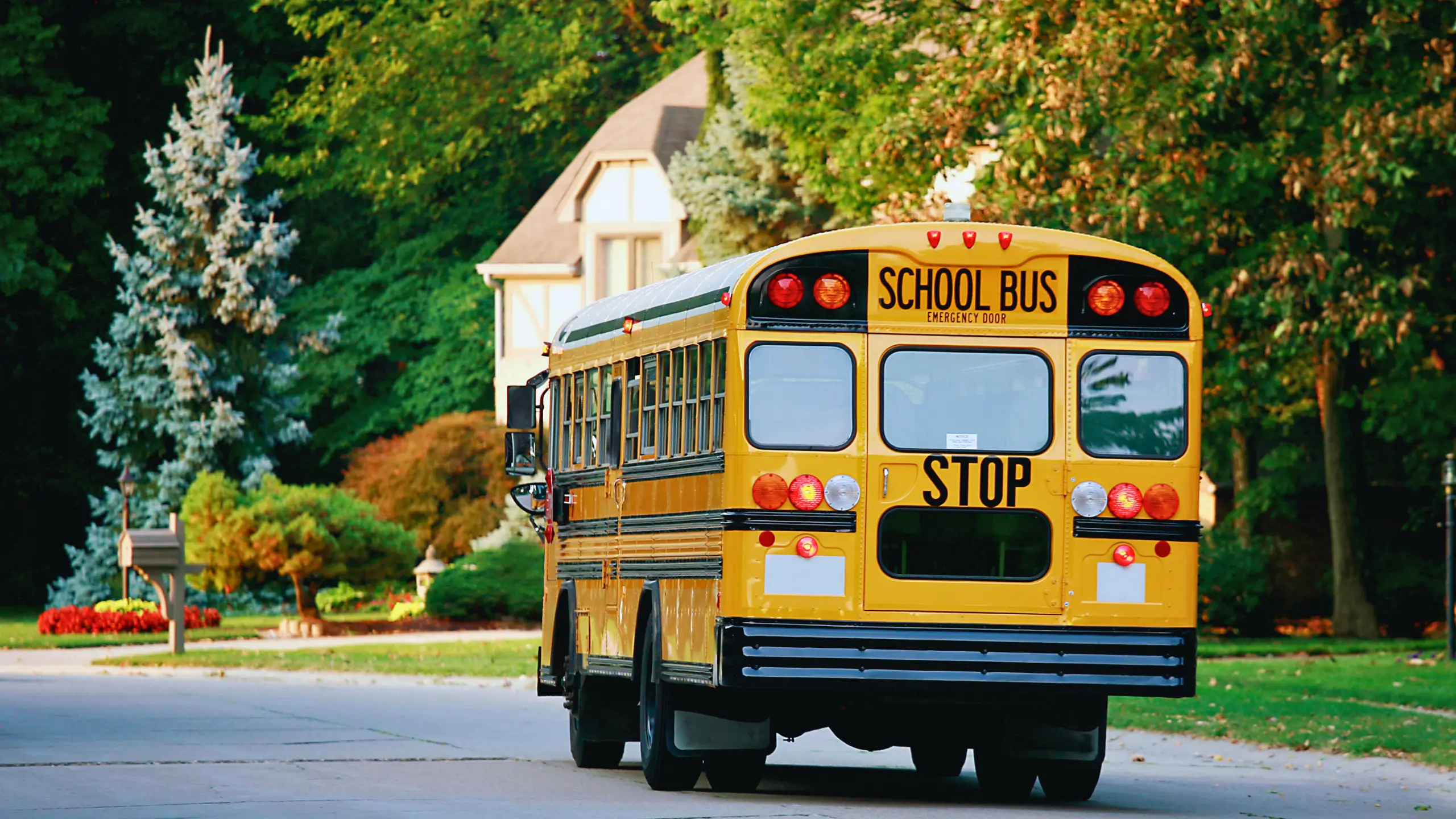 Yellow school bus driving on a suburban street.