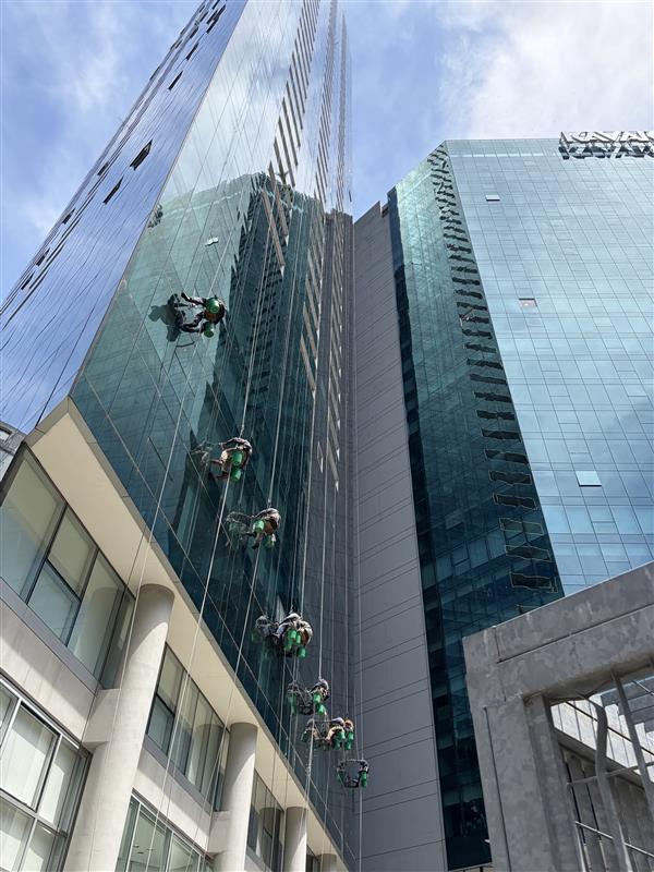 Several window cleaners rappelling down a tall glass skyscraper.