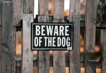Dog Bite Injuries and New York Liability Laws
