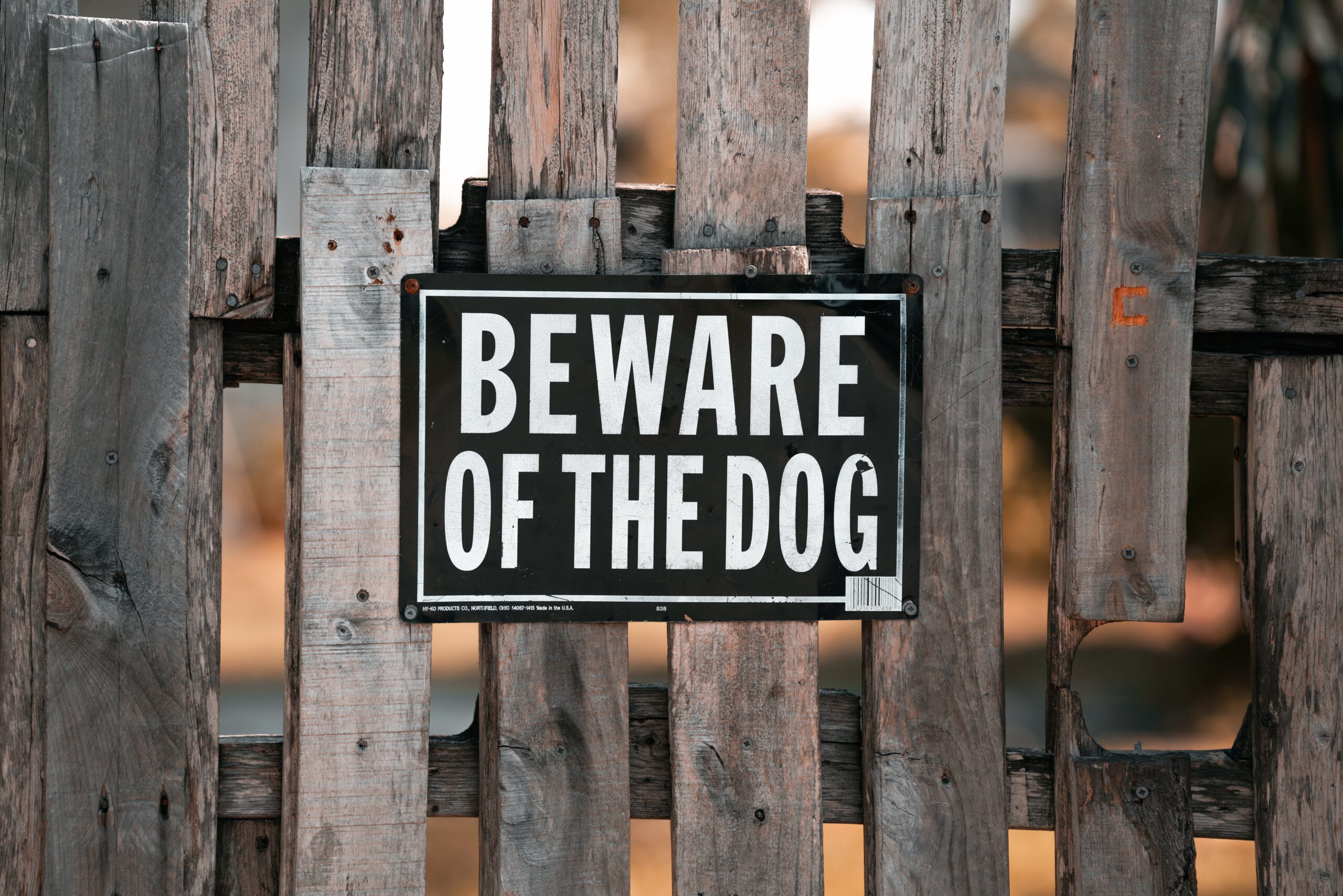 Dog Bite Injuries and New York Liability Laws